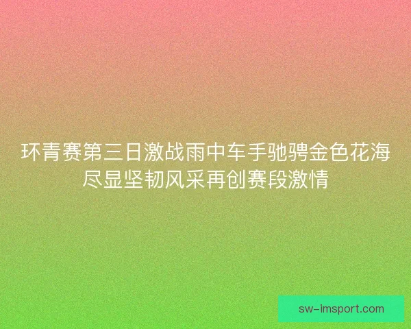 环青赛第三日激战雨中车手驰骋金色花海尽显坚韧风采再创赛段激情